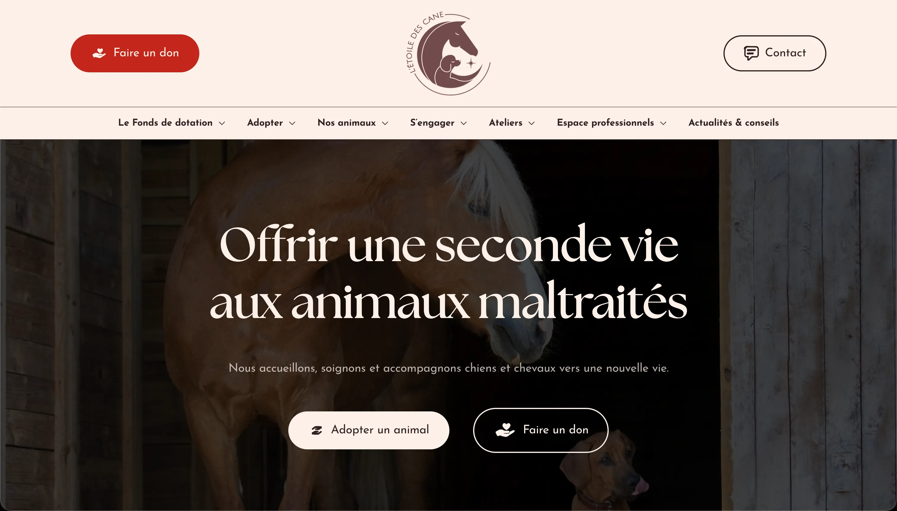 Page d'accueil du site L'étoile des Cane, version ordinateur